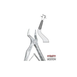Pinza per Estrazione Mod. Klein per Bambini fig. 51S  - Falcon Medical Italia