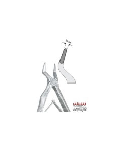 Pinza per Estrazione Mod. Klein per Bambini fig. 51S  - Falcon Medical Italia