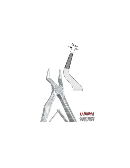 Pinza per Estrazione Mod. Klein per Bambini fig. 51S  - Falcon Medical Italia