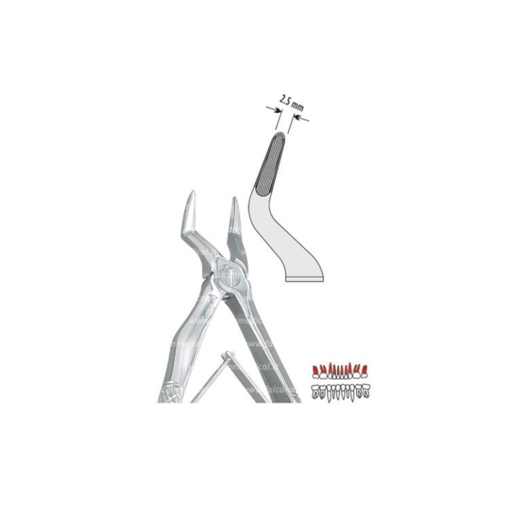 Pinza per Estrazione Mod. Klein per Bambini fig. 51S  - Falcon Medical Italia
