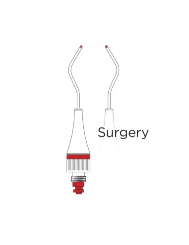 Puntale Surgery  -
