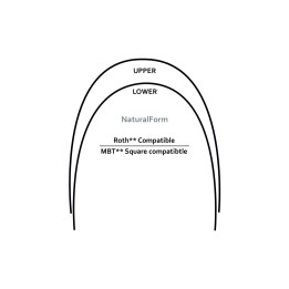 Archi Ni-Ti Superelastic  - Dental World