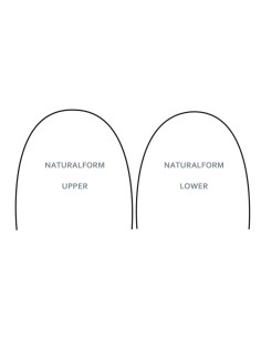 Archi Stainless Steel  - Dental World