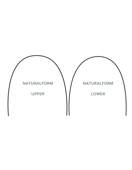 Archi Stainless Steel  - Dental World