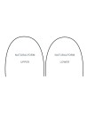 Archi Stainless Steel  - Dental World