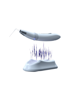 ENDO 3  - De Giorgi 2
