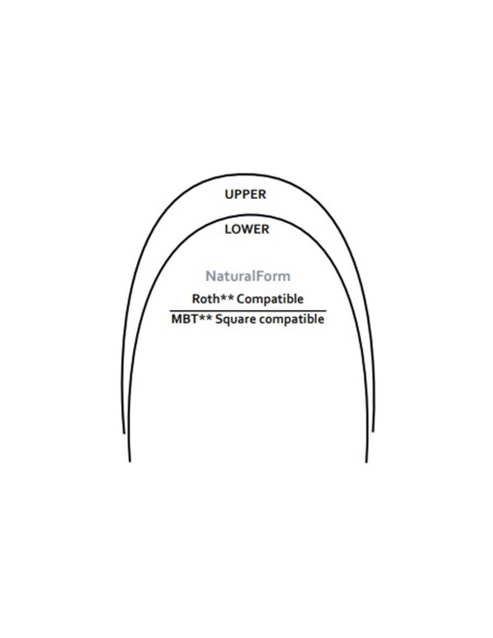 Archi Eclipse Over NiTi  - Dental World