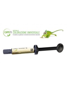 Capo 1