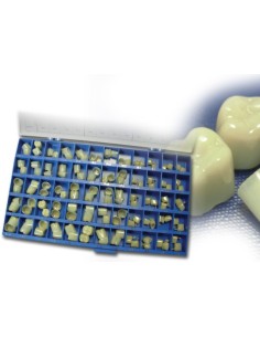 Kit Corone Posteriori  -