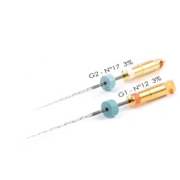 G-Files  - MicroMega