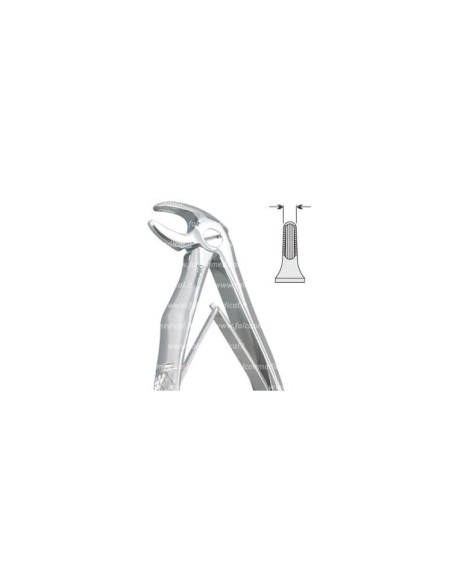 Pinza per Estrazione Mod. Klein per Bambini Fig. 7  - Falcon Medical Italia