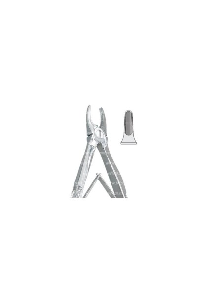 Pinza per Estrazione Mod. Klein per Bambini Fig. 137  - Falcon Medical Italia