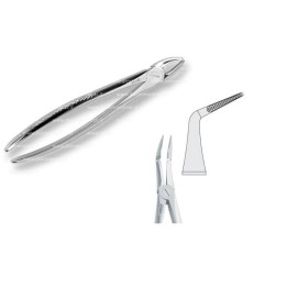 Pinza per Estrazione Mod. Europeo Fig. 145  - Falcon Medical Italia