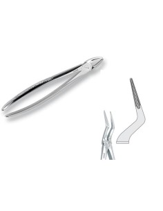 Pinza per Estrazione Mod. Europeo Fig. 151 1/2  - Falcon Medical Italia