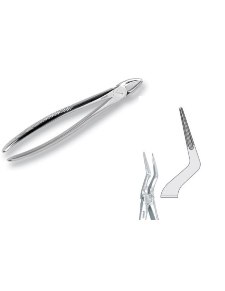Pinza per Estrazione Mod. Europeo Fig. 151 1/2  - Falcon Medical Italia