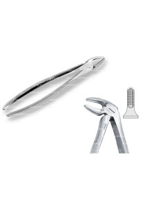 Pinza per Estrazione Mod. Europeo Fig. 33  - Falcon Medical Italia