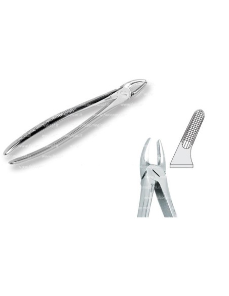 Pinza per Estrazione Mod. Europeo Fig. 7  - Falcon Medical Italia