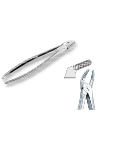 Pinza per Estrazione Mod. Europeo Fig. 8  - Falcon Medical Italia